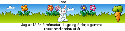 http://graviditet-og-barn.dk/ticker/a54d94e839/82.png